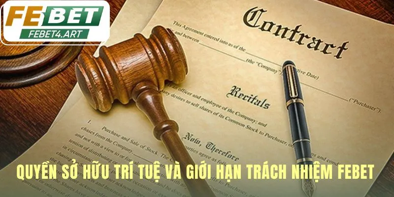 Điều khoản điều kiện bảo vệ quyền sở hữu trí tuệ độc quyền